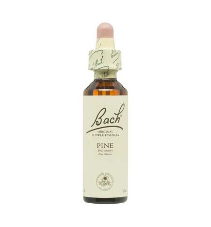 Flor nº 24 Pine 20ml Bach