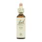 Flor nº 24 Pine 20ml Bach