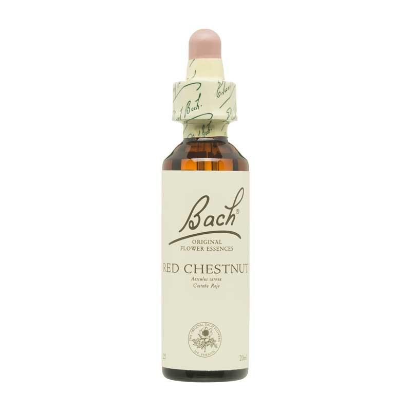 Flor nº 25 Red Chestnut 20ml Bach