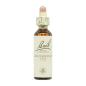 Flor nº 25 Red Chestnut 20ml Bach