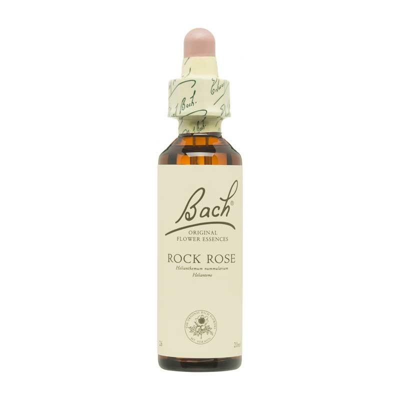 Flor nº 26 Rock Rose 20ml Bach