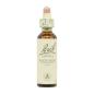 Flor nº 26 Rock Rose 20ml Bach