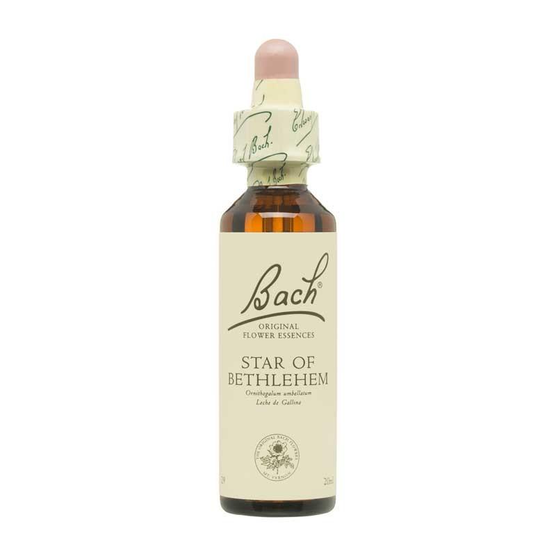 Flor nº 29 Star of Bethlehem 20ml Bach