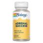 Adrenal Success 60vcaps Solaray