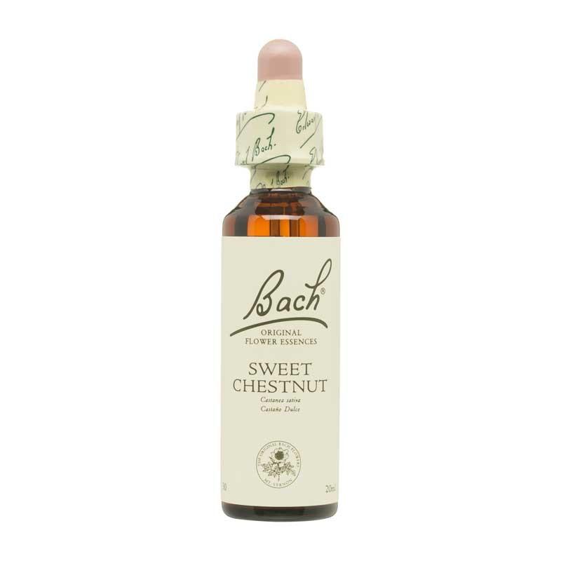 Flor nº 30 Sweet Chestnut 20ml Bach