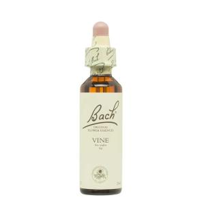 Flor nº 32 Vine 20ml Bach