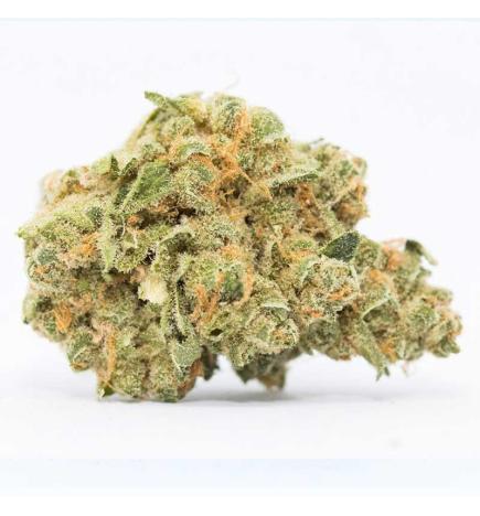 Flor de CBD Premium New York-Sour Diesel 2g Cannactiva