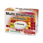 Multivitaminas + Ginseng 24 comprimidos Vallesol