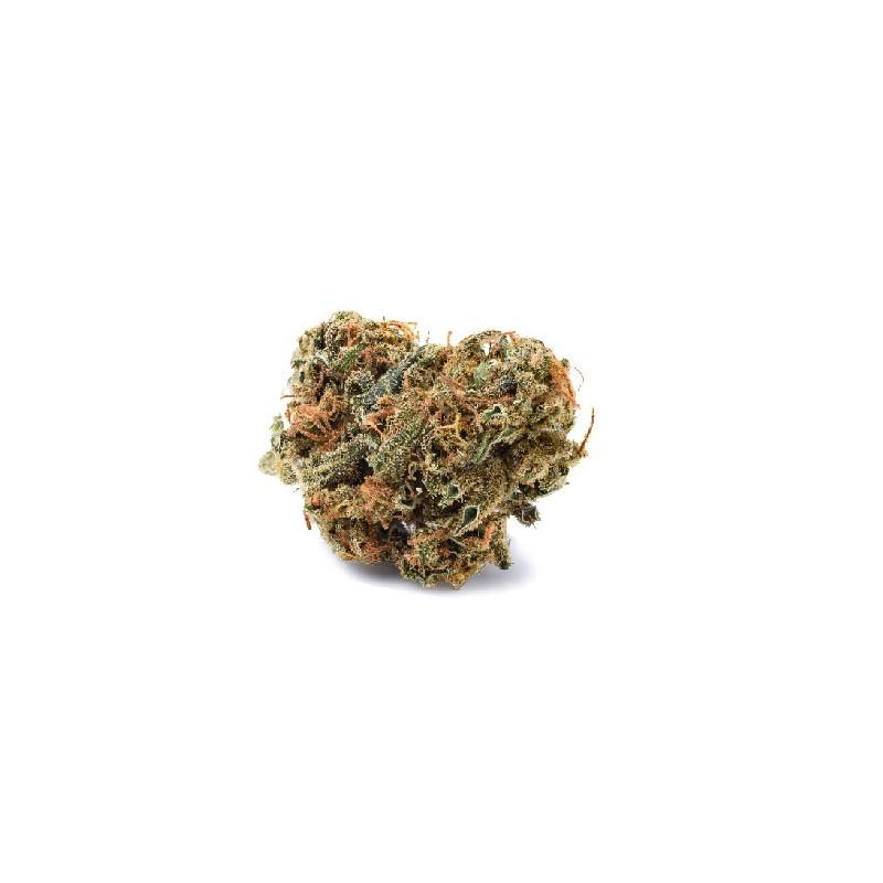 Flor de CBD Premium Orange Mood-Mandarin cookies 2g Cannactiva