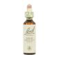 Flor nº 35 White Chestnut 20ml Bach