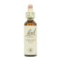 Flor nº 36 Wild Oat 20ml Bach