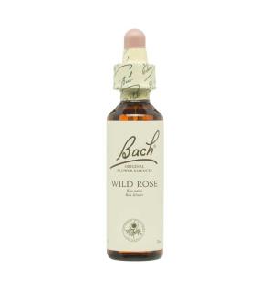 Flor nº 37 Wild Rose 20ml Bach