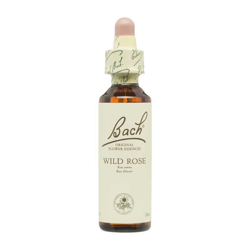 Flor nº 37 Wild Rose 20ml Bach