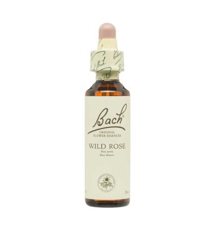 Flor nº 37 Wild Rose 20ml Bach