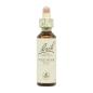 Flor nº 37 Wild Rose 20ml Bach