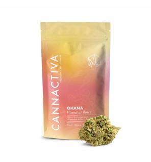 Flor de CBD Premium OHANA-Hawaiian Runtz 2g Cannactiva