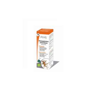 Harpagofito (harpagophytum procumbens) extracto hidroalcoholico bio 100ml Physalis