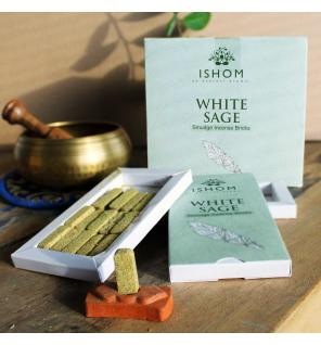 Pack of 15 Natural Incense Smudge Bricks and Burner - White Sage