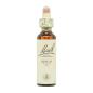 Flor nº 3 Beech 20ml Bach