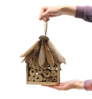 Driftwood Bee & Insect Box