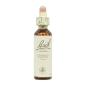 Flor nº 5 Cerato 20ml Bach